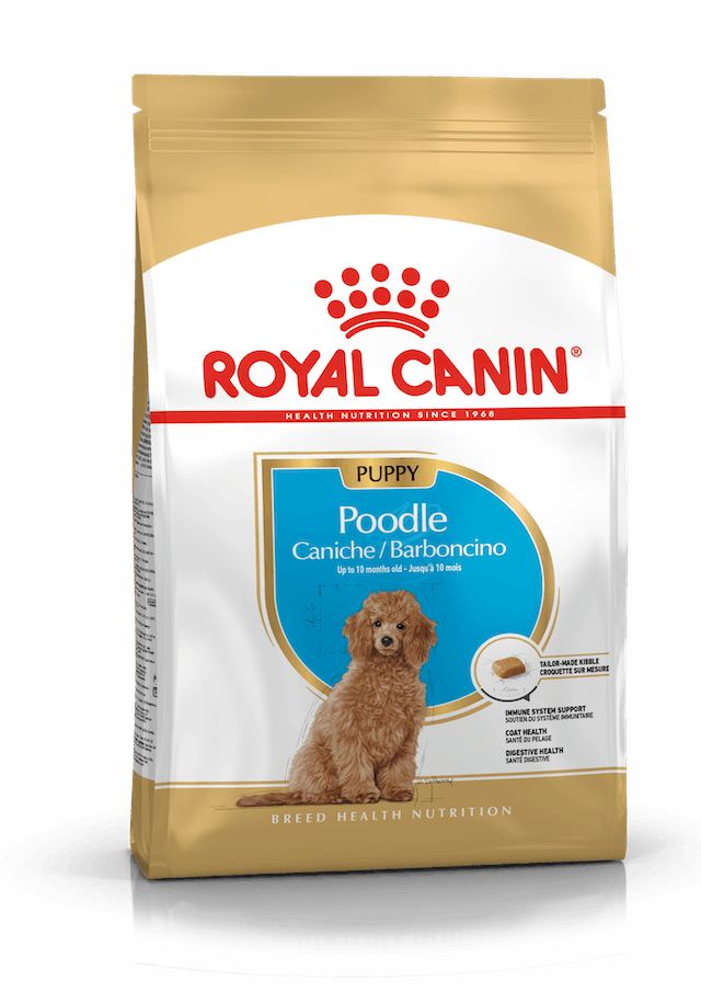 Royal canin caniche puppy 1kg